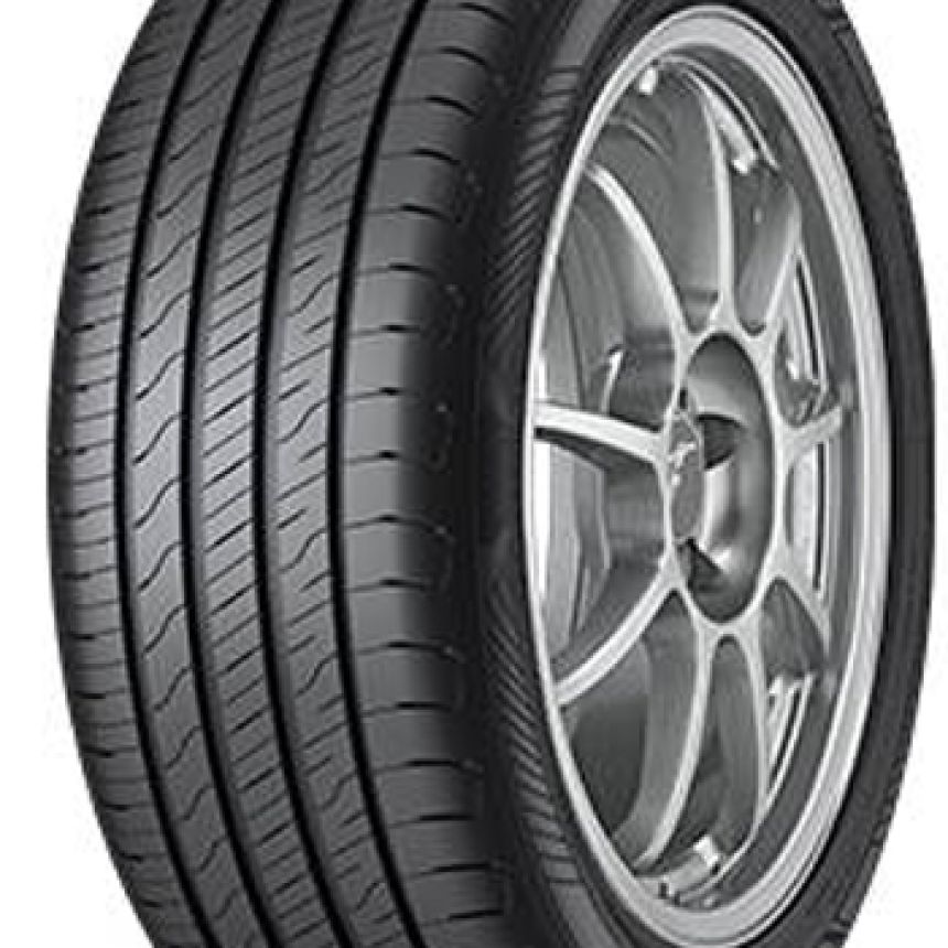 EfficientGrip Performance 2 195/65-15 H